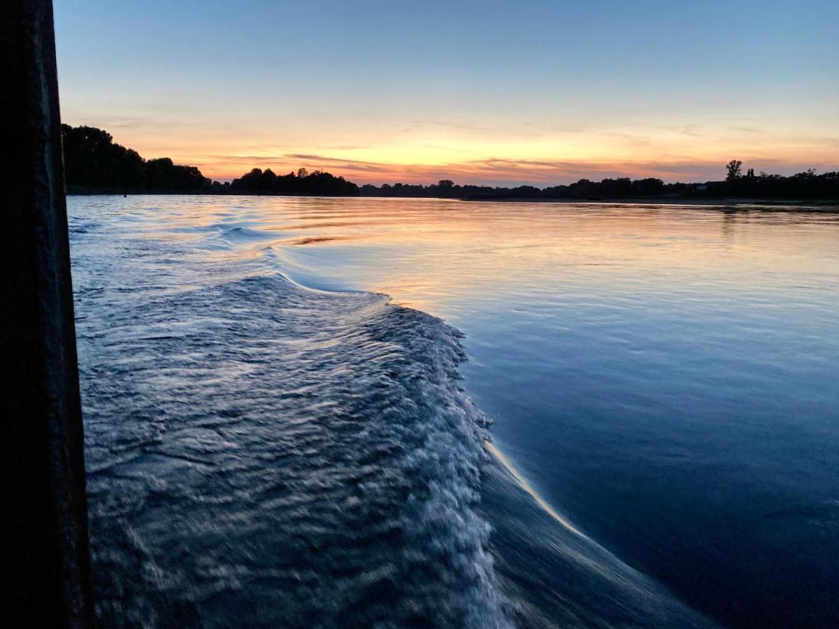 Gite Loirizon Vue Loire 4 Personnes Ingrandes  Bagian luar foto