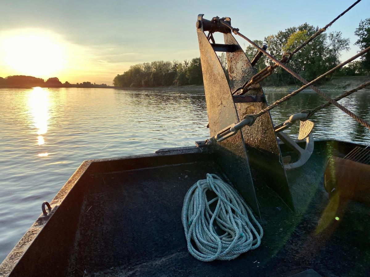 Gite Loirizon Vue Loire 4 Personnes Ingrandes  Bagian luar foto