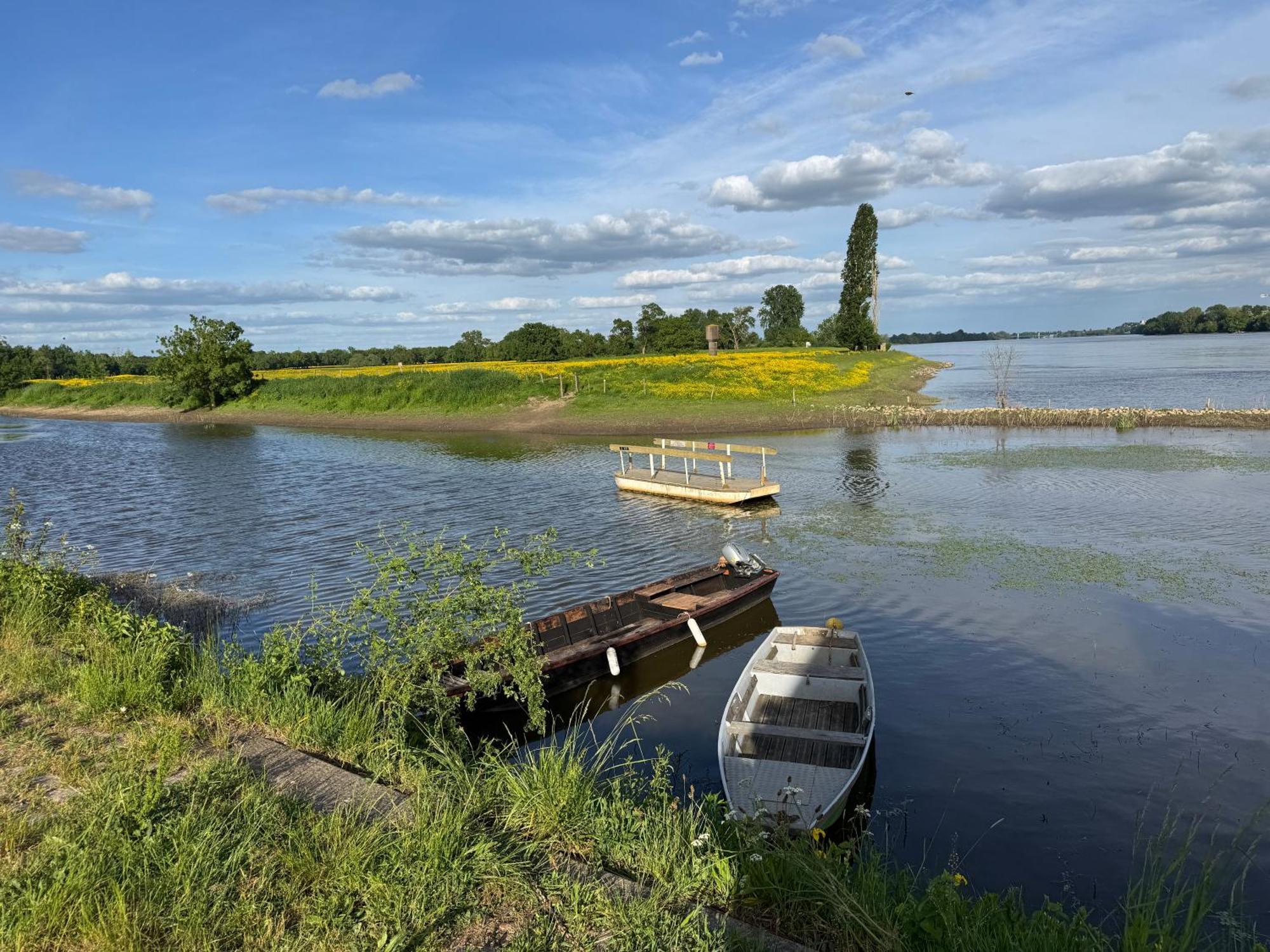 Gite Loirizon Vue Loire 4 Personnes Ingrandes  Bagian luar foto